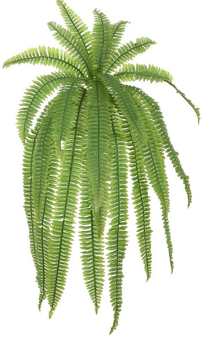 F.SAMAMBAIA PENDURAR X24 (VERDE) 100 cm