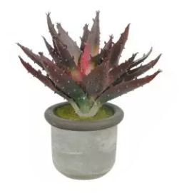 Arranjo Suculenta Artificial Babosa Beauty 15cm