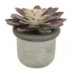 Arranjo Suculenta Artificial Echeveria Beauty 9cm
