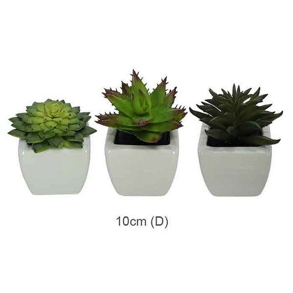 Kit Arranjo Suculentas Verde com 3 Uni 10cm