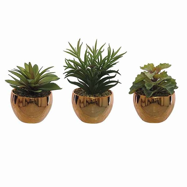 Kit Arranjo Suculentas Verde com 3 Uni em Pote Cobre 13cm