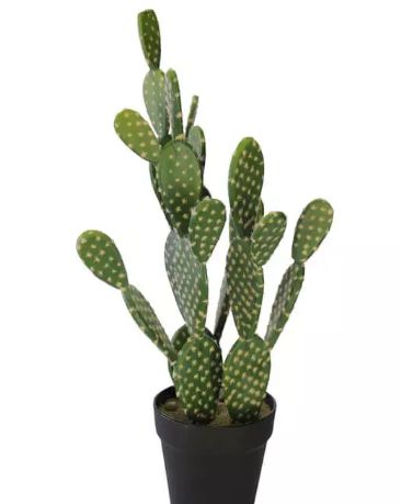 Arranjo Cacto Artificial Verde 56x14cm