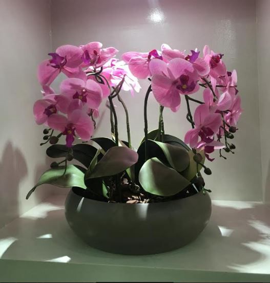 Arranjo de 4 Orquídeas de Silicone rosa com Vaso Bacia de Cerâmica na cor cinza