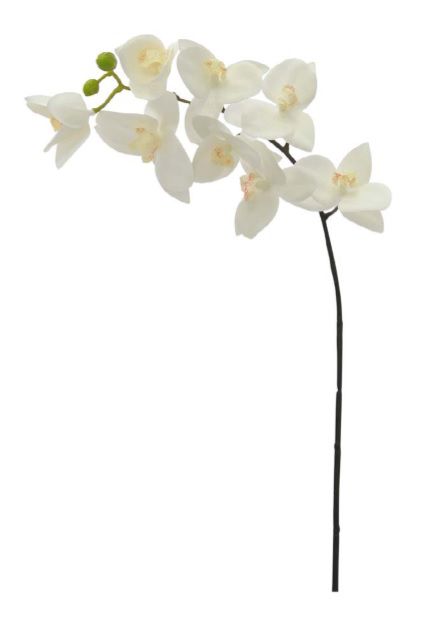 Haste Flor Artificial Orquídea Phalaenopsis Real Toque X8 70cm