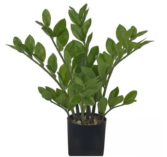 Planta Árvore Artificial Zamioculca Real Toque - 40cm