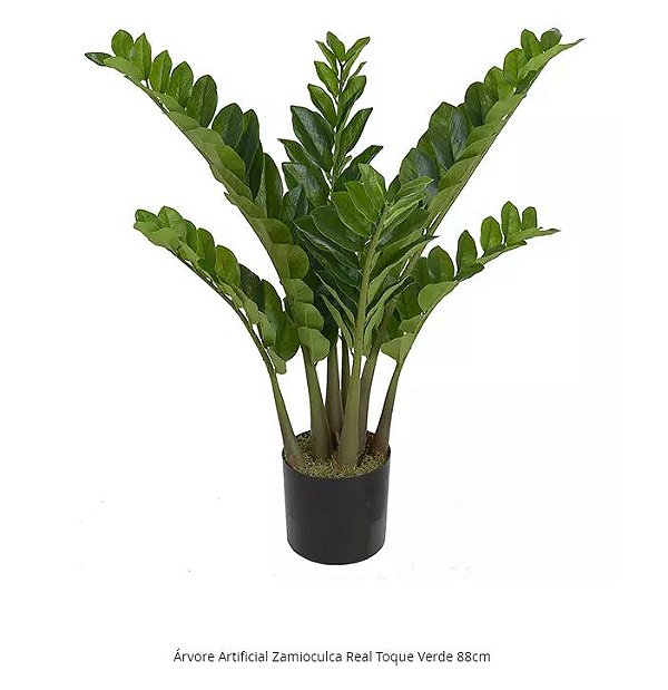Planta Árvore Artificial Zamioculca Real Toque Verde 88cm
