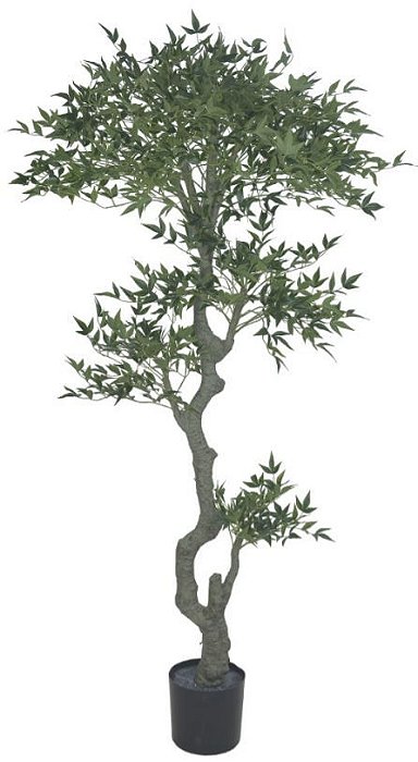 Planta Artificial A. Mini Folha Real Toque C Pote X3580 (VERDE) 1,8m
