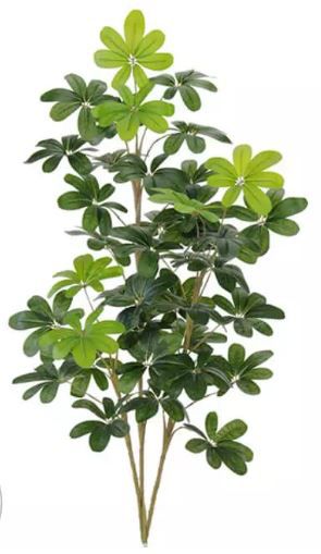 Planta Árvore Artificial Shefflera Real Toque Verde 1,2m