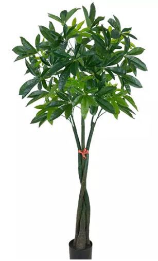 Planta Árvore Artificial Cheflera Macho Verde 1,70m