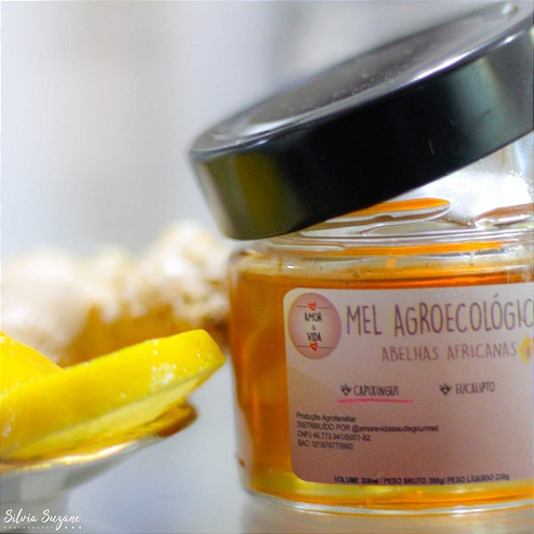 Mel Agroecológico AVSG-200