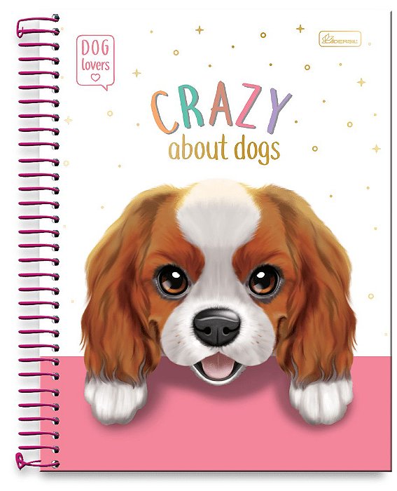 Caderno CD 15Mat 300Fls Dog Lovers