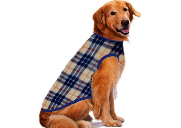 Roupa para Cachorro Cães Inverno Soft Xadrez Azul Tamanho Especial - Gaby  Moda Pet