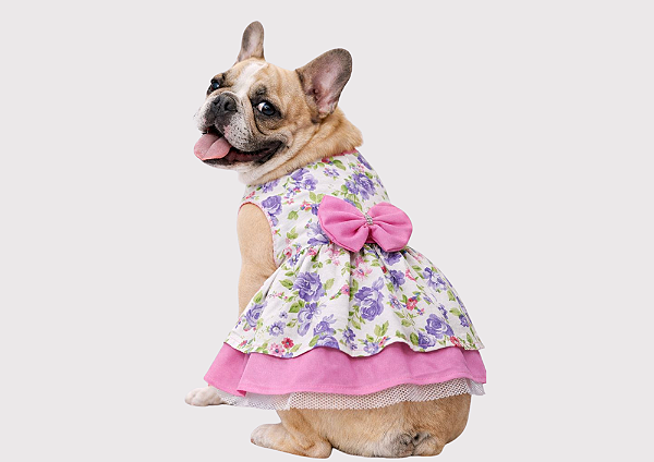 Vestido para Cachorro Charlote Gaby Moda Pet
