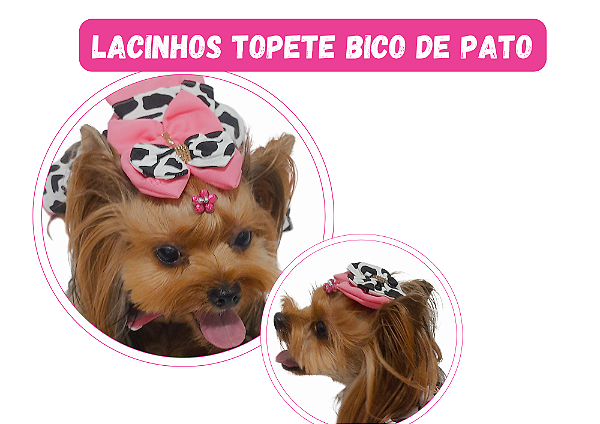 Lacinho Vaquinha Bico de Pato Gaby Moda Pet