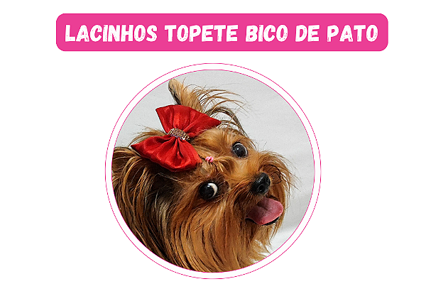 Lacinho de Pato Natal Classico Gaby Moda Pet