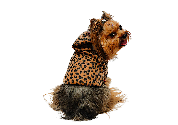 Roupa para Cachorro Cães Inverno Blusão Soft Oncinha