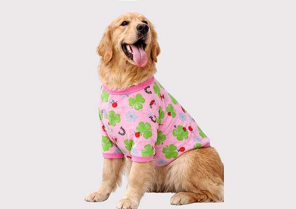 Roupa Suéter para Cachorro Plush Joaninha Rosa Gaby Moda
