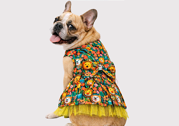 Vestido para Cachorro Bulldogue Luxo Safari Gaby Moda Pet com Tule e Laço Roupa Pet Premium