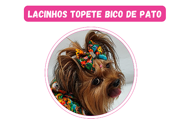 Lacinho Safari  Bico de Pato Gaby Moda Pet