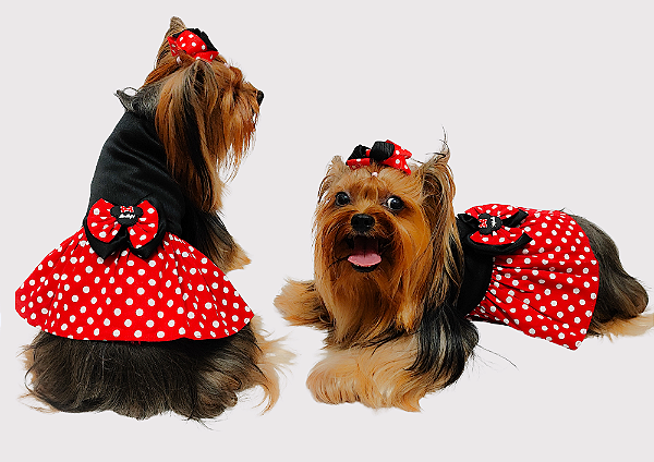 Vestido Fantasia Pet Minie Gaby Moda Pet