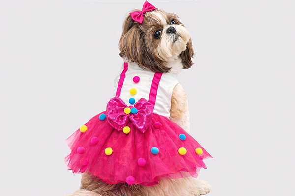 Fantasia Vestido para Cachorro Palhacinha Pink Gaby Moda Pet