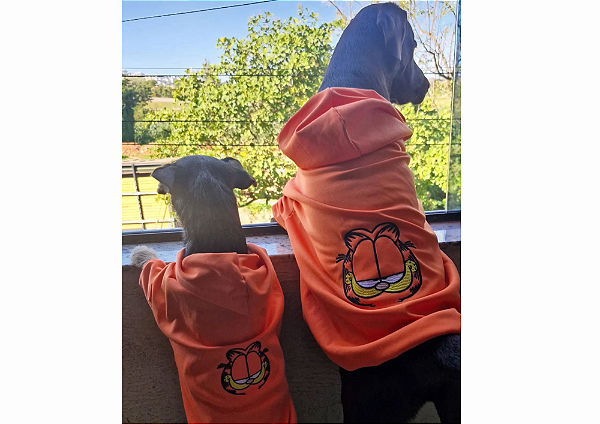 Blusão Moletom com Capuz para Cachorro Personagem Laranja Gaby Moda Pet