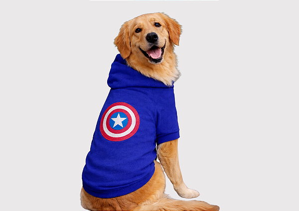 Blusão Moletom com Capuz para Cachorro Personagem Azul Royal Gaby Moda Pet