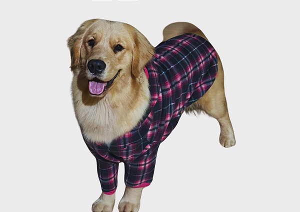 Blusão Soft com Capuz para Cães Xadrez Rosa Gaby Moda Pet