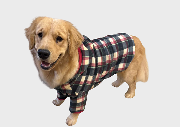 Blusão Soft com Capuz para Cães Xadrez Verde Gaby Moda Pet