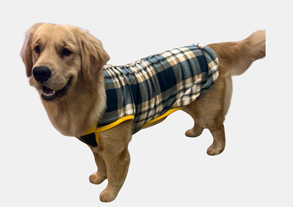 Roupa para Cachorro Cães Inverno Soft Verde Gaby Moda Pet
