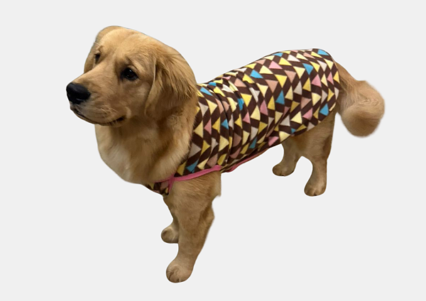Roupa para Cachorro Cães Inverno Soft Colors Rosa Gaby Moda Pet