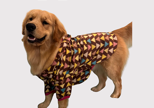 Blusão Soft com Capuz para Cães Colors Gaby Moda Pet