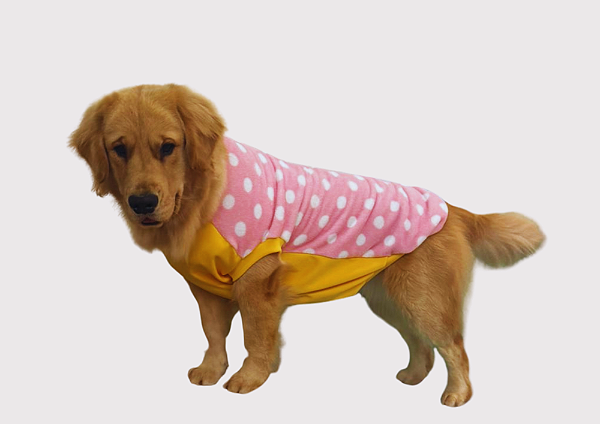 Roupa Pet Ultrasoft Bolinha Rosa Cachorro Gaby Moda Pet