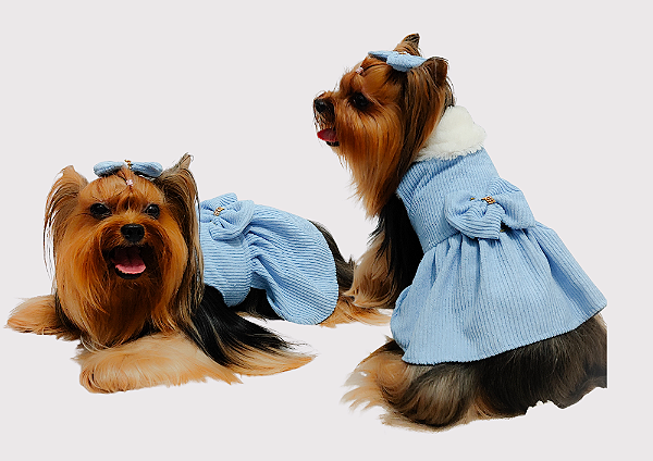 Vestido Pet Antonella Veludo Gaby Moda Pet