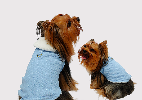 Capinha Pet Antonella Veludo Gaby Moda Pet