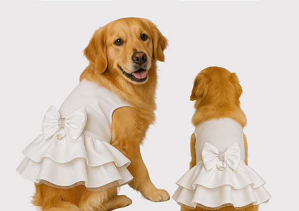 Vestido Pet Personalizada Daminha  Gaby Moda Pet - Golden Retrivier