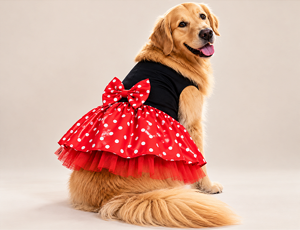 Vestido Fantasia Pet Minie Gaby Moda Pet Golden Retrivier