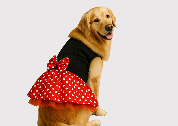 Vestido Fantasia Pet Minie Gaby Moda Pet Golden Retrivier