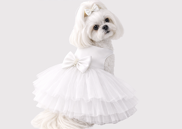 Vestido Pet Personalizada Daminha Boutique Noiva Gaby Moda Pet