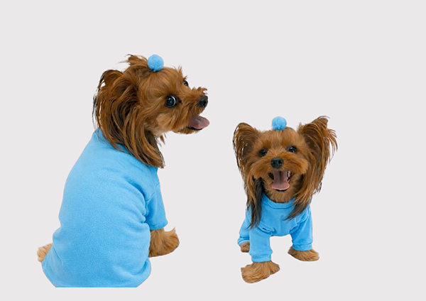 Macacão Pijama Pet para Cachorro Algodão Azul Gaby Moda Pet