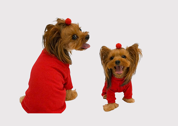 Macacão Pijama Pet para Cachorro Algodão Vermelho Gaby Moda Pet