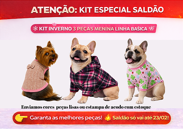 KIT 3 PEÇAS ROUPAS PET LINHA BÁSICA INVERNO MENINA SALDÃO