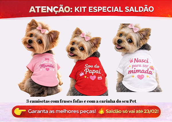 KIT 3 PEÇAS ROUPAS PET LINHA PREMIUM FRASES FOFAS MENINA SALDÃO