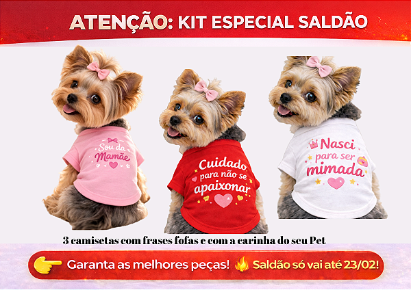 KIT 3 PEÇAS ROUPAS PET LINHA PREMIUM FRASES FOFAS II MENINA SALDÃO