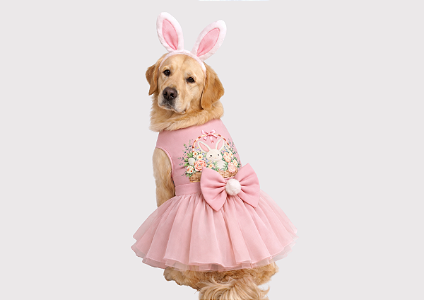 Fantasia Vestido para Cachorro Coelhinha Gaby Moda Pet Golden Retrivier
