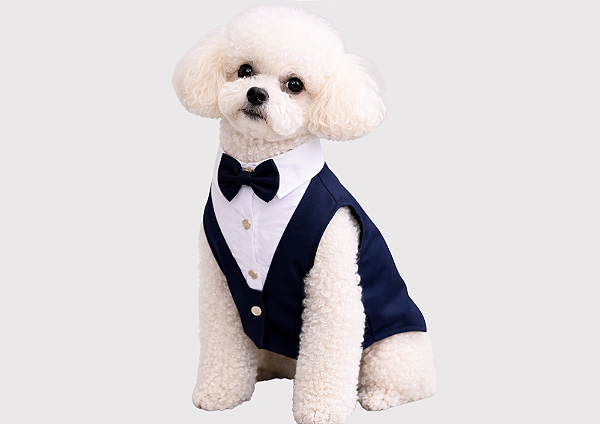 Terno para Cachorro – Roupa Pet Social para Azul Marinho Porte Pequeno