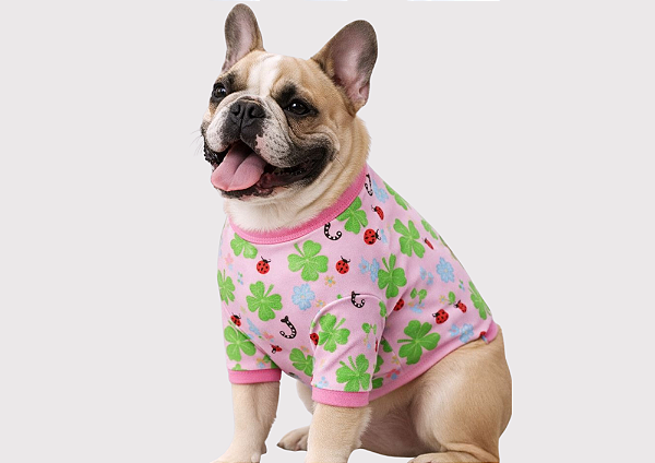 Roupa para Cachorro Bulldogue Francês Inverno Plush Joaninha Rosa Suéter Pet Macio e Quentinho Gaby Moda Pet
