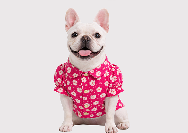 Camiseta para Cachorro Bulldogue Floral Rosa com Botão de Pressão Roupa Pet Confortável Gaby Moda Pet