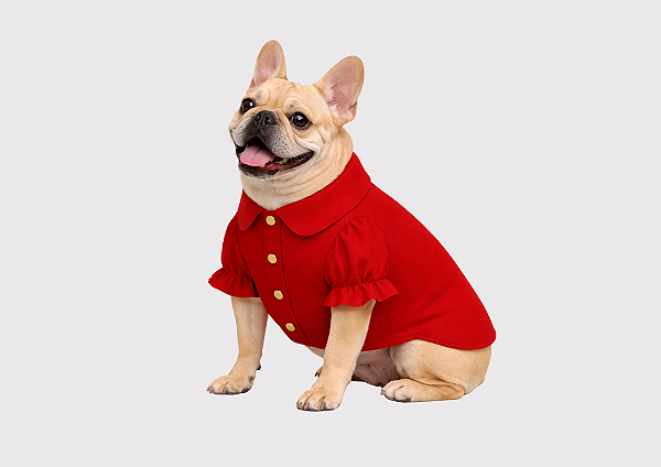 Camisa para Cachorro Pet Alfaiataria Bulldogue Vermelha com Botão de Pressão Gaby Moda Pet