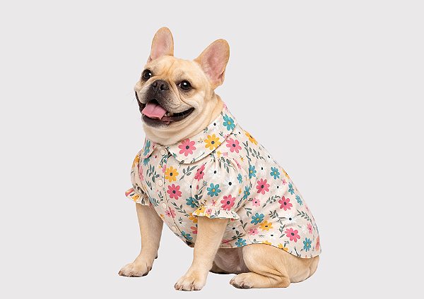 Camisa para Cachorro Bulldogue Floral Alfaiataria com Botões Roupa Pet Elegante Gaby Moda Pet